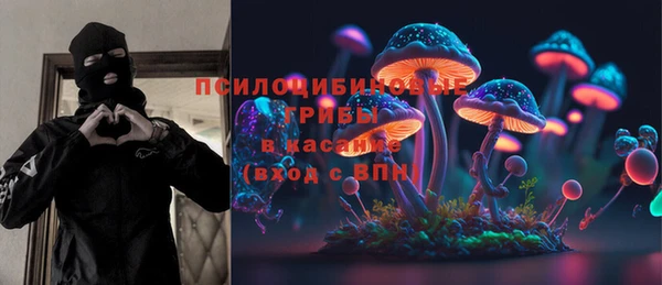 2c-b Дмитриев