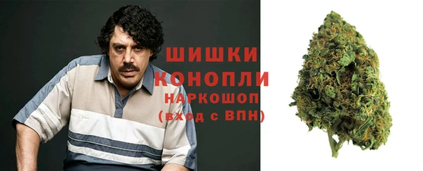 бошки Дмитров